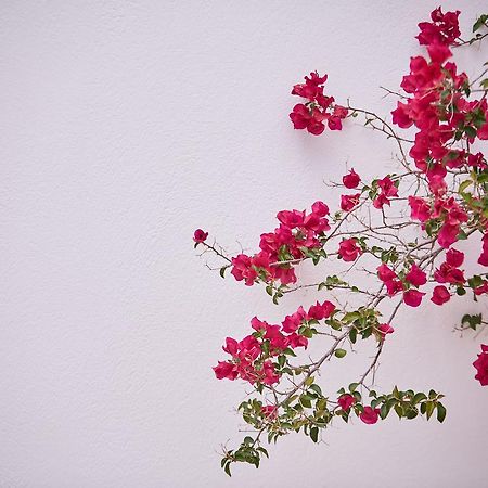 Spetses Retreat Accommodation ภายนอก รูปภาพ
