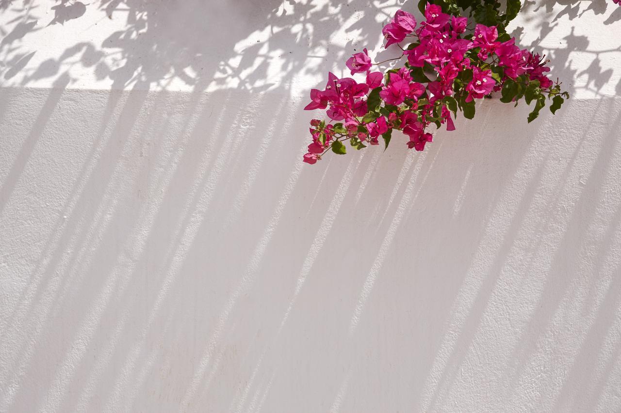 Spetses Retreat Accommodation ภายนอก รูปภาพ