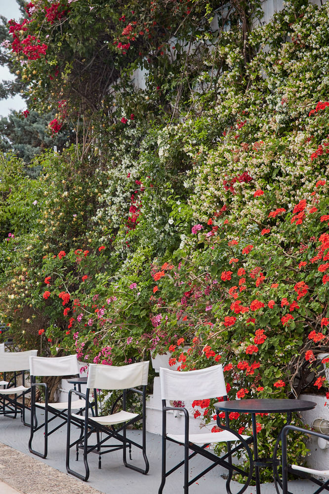 Spetses Retreat Accommodation ภายนอก รูปภาพ